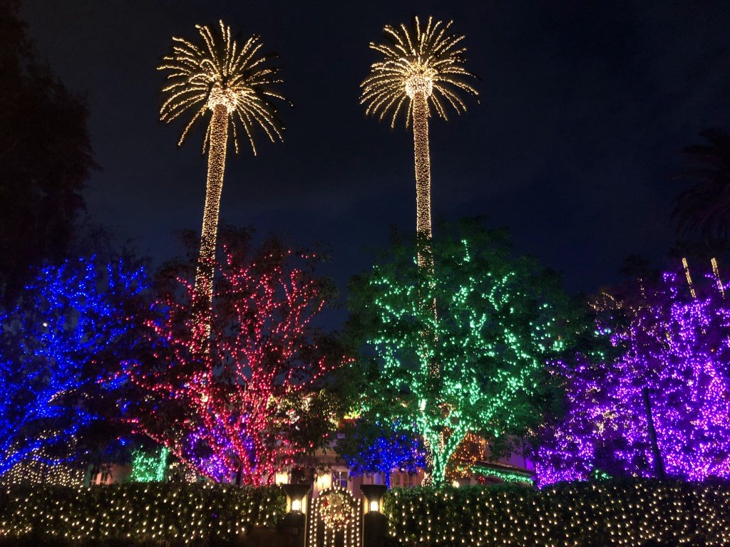 Trees image: Trees, palm trees, and shrubs in Beverly Hills are decorated in differently colored holiday lights hung by professional Christmas light installers Christmas Brothers