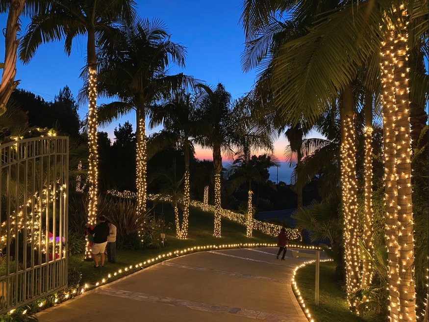 Holiday lighting decorates a Hollywood home with palm trees and driveway by Christmas Brothers professional Christmas light installers