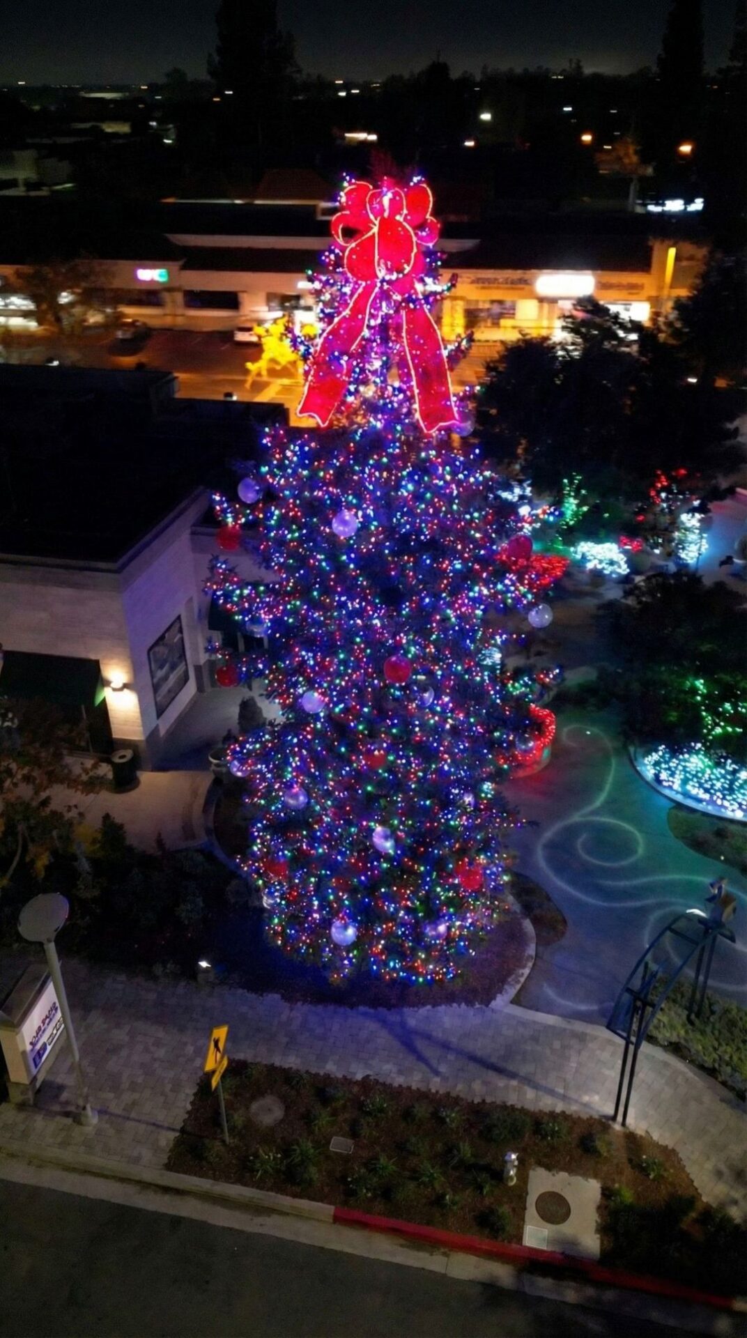 Paramount Tree